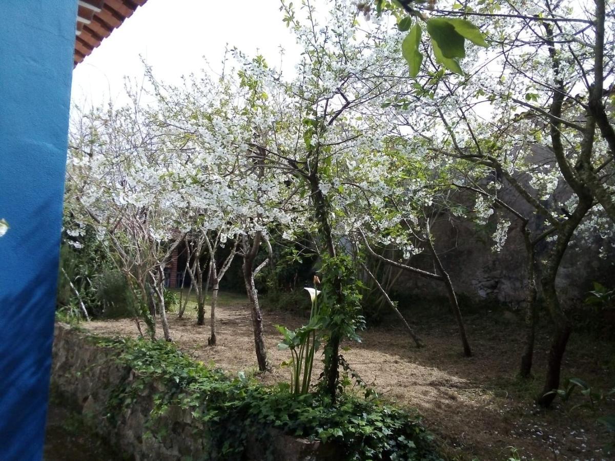 Casas Altas Obidos - Al Villa Sobral  Ngoại thất bức ảnh